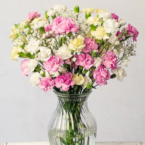 flowers - Spray Cascade, £22.00 - A pretty bouquet of 11 multi-headed spray Carnations in colorful shades alongside delicate white Gypsophila.