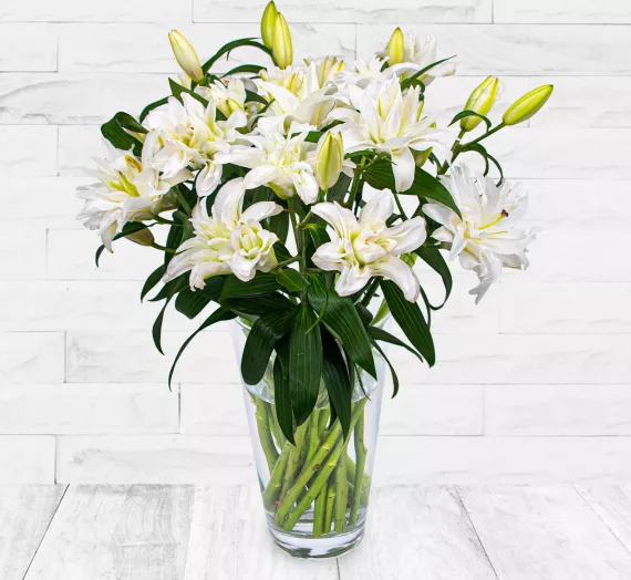 flowers - Double-Flowering Lilies, £32.99 - Discover a rare and unforgettable gift with our Double-Flowering Lilies.