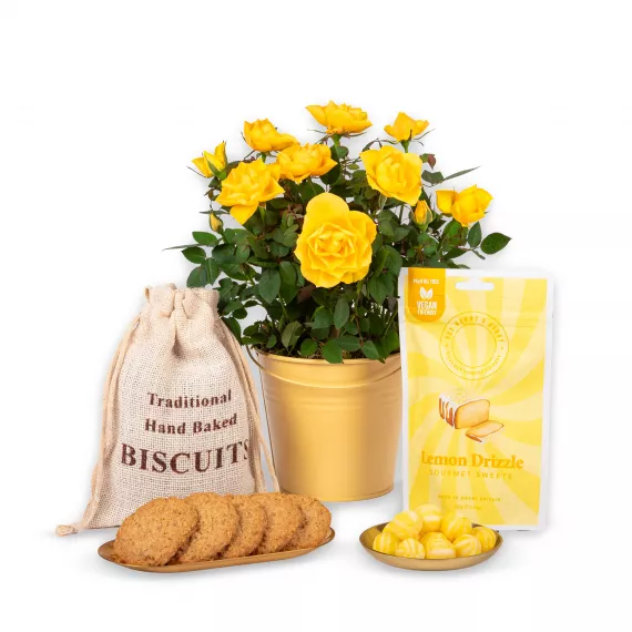 plants - Lemon Rose Plant Gift, £39.99 - This beautiful plant gift is perfect for celebrating any special occasion.