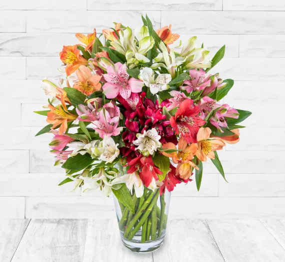 flowers - Elegant Alstro, £19.99 - Make someone's day with our Elegant Alstro, a beautiful hand-tied arrangement ideal for all occasions.