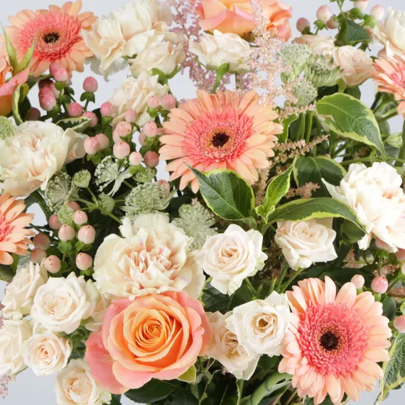 flowers - Pet Friendly Subscription Box, £25.00 - A curated subscription box featuring a variety of beautiful, fresh, and non-toxic flowers that are safe for pets.