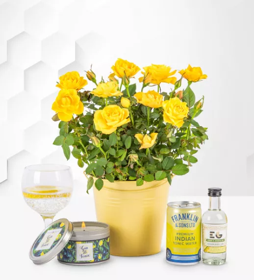 Hampers - Roses and Gin Gift Set, £49.99 - Ideal for gin and tonic enthusiasts, this gin gift set features a beautiful and vibrant rose plant in a cheerful yellow planter.
