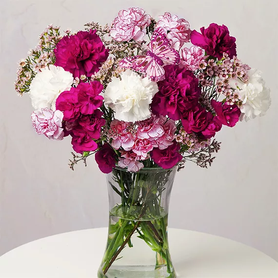 letterbox - Butterfly Dreams Letterbox, £25.35 - A delightful selection of long-lasting Carnations in shades of pink, purple, and white, complemented with pink Limonium and delicate Waxflower blooms.
