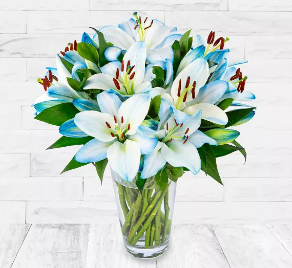 flowers - Sapphire Lilies, £29.99 - Discover a unique and colourful display with our exclusive Sapphire Lilies.