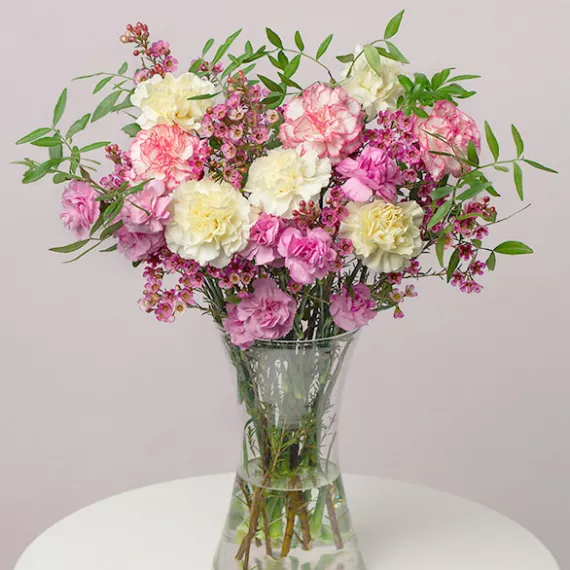 flowers - Rhubarb and Custard, £24.50 - A delightful collection of Carnations and Spray Carnations in sweet shades of pink, cream, and lilac.