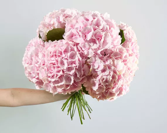flowers - Premium Flower Subscription, £35.00 - A luxurious subscription service delivering hand-picked, premium flowers on a regular basis.