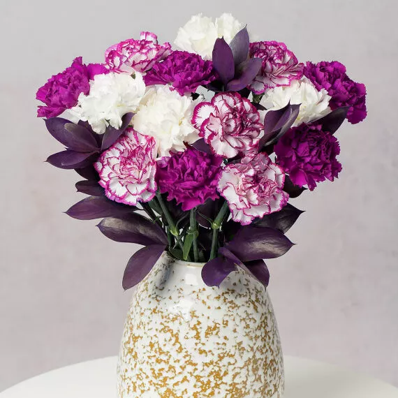 letterbox - Damson Delight Letterbox, £25.75 - This simply gorgeous selection of 14 bold, long-lasting Colombian Carnations comes in pretty colors of purple, white, and two-tone pink and white.
