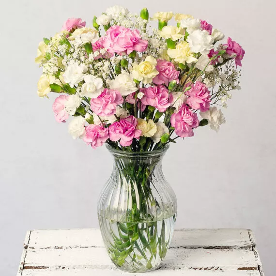 letterbox - Spray Cascade Letterbox, £22.35 - A pretty bouquet of 11 delicate spray Carnations in colorful shades alongside delicate white Gypsophila.