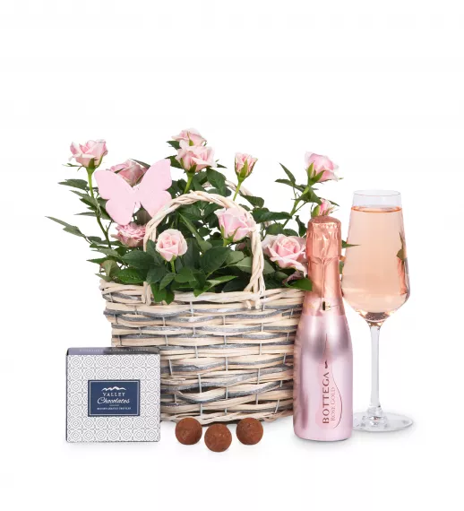 Gifts - Rose and Bottega Basket, £44.99 - We have selected the finest bottle of Bottega Rosé Prosecco to accompany this lovely rose plant, all neatly presented in a wicker basket for a wonderful gift.