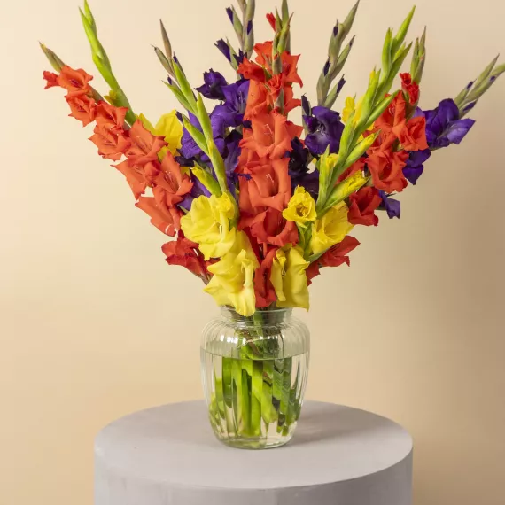 flowers - Painted Skies, £29.99 - Make a bold statement with our stunning Gladioli bouquet, an elegant and tall display of vibrant, British-grown gladioli.