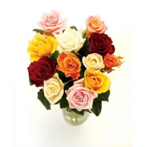 12 Classic Mixed Roses