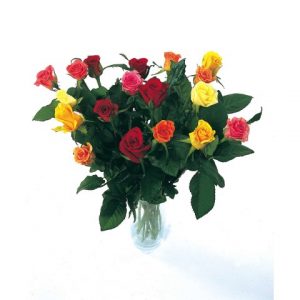 18 Classic Mixed Roses