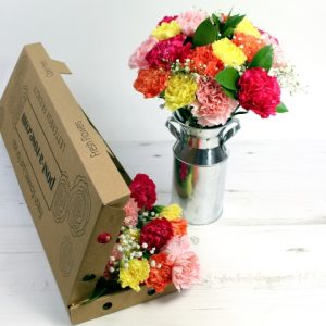 Letterbox Classic Carnations