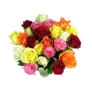 24 Classic Mixed Roses